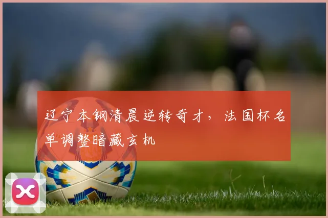 辽宁本钢清晨逆转奇才，法国杯名单调整暗藏玄机 - 华体会网页