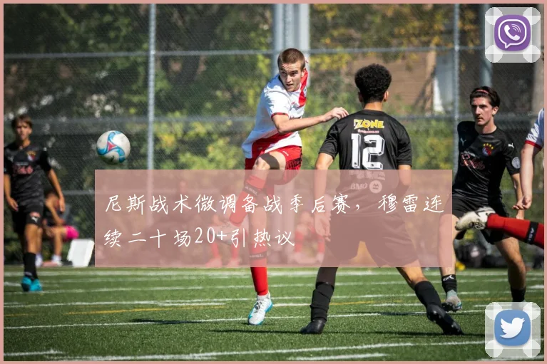 尼斯战术微调备战季后赛，穆雷连续二十场20+引热议 - 华体会网页